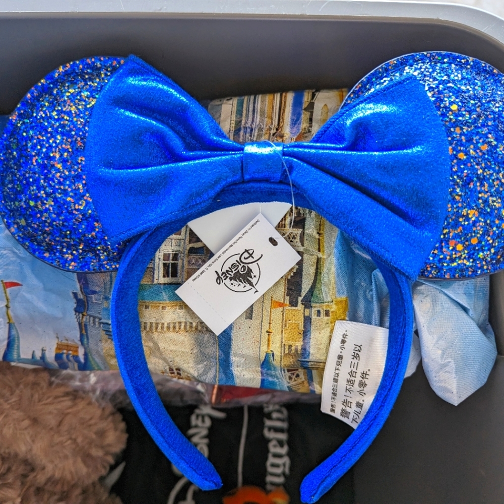 Disney Mickey ears